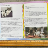 Interviews with Cats | Zines | Cat Zine | Art Zine