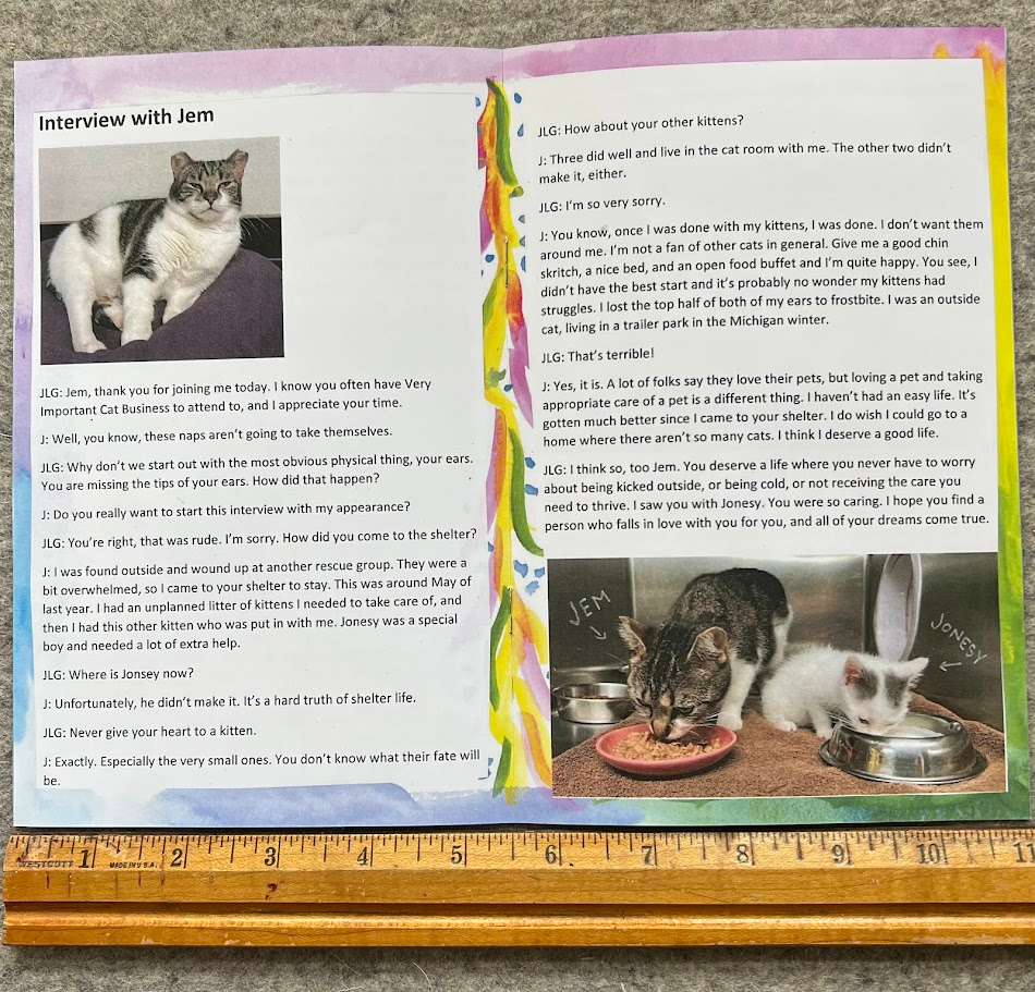 Interviews with Cats | Zines | Cat Zine | Art Zine